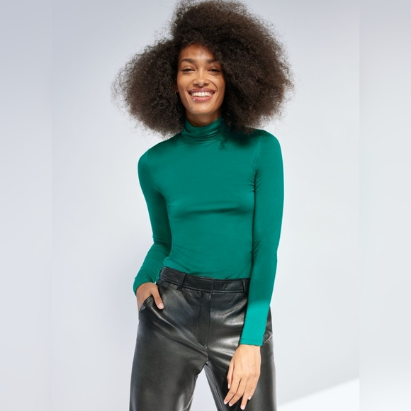 Aritzia Babaton New Slim Turtleneck - Picture 1 of 6